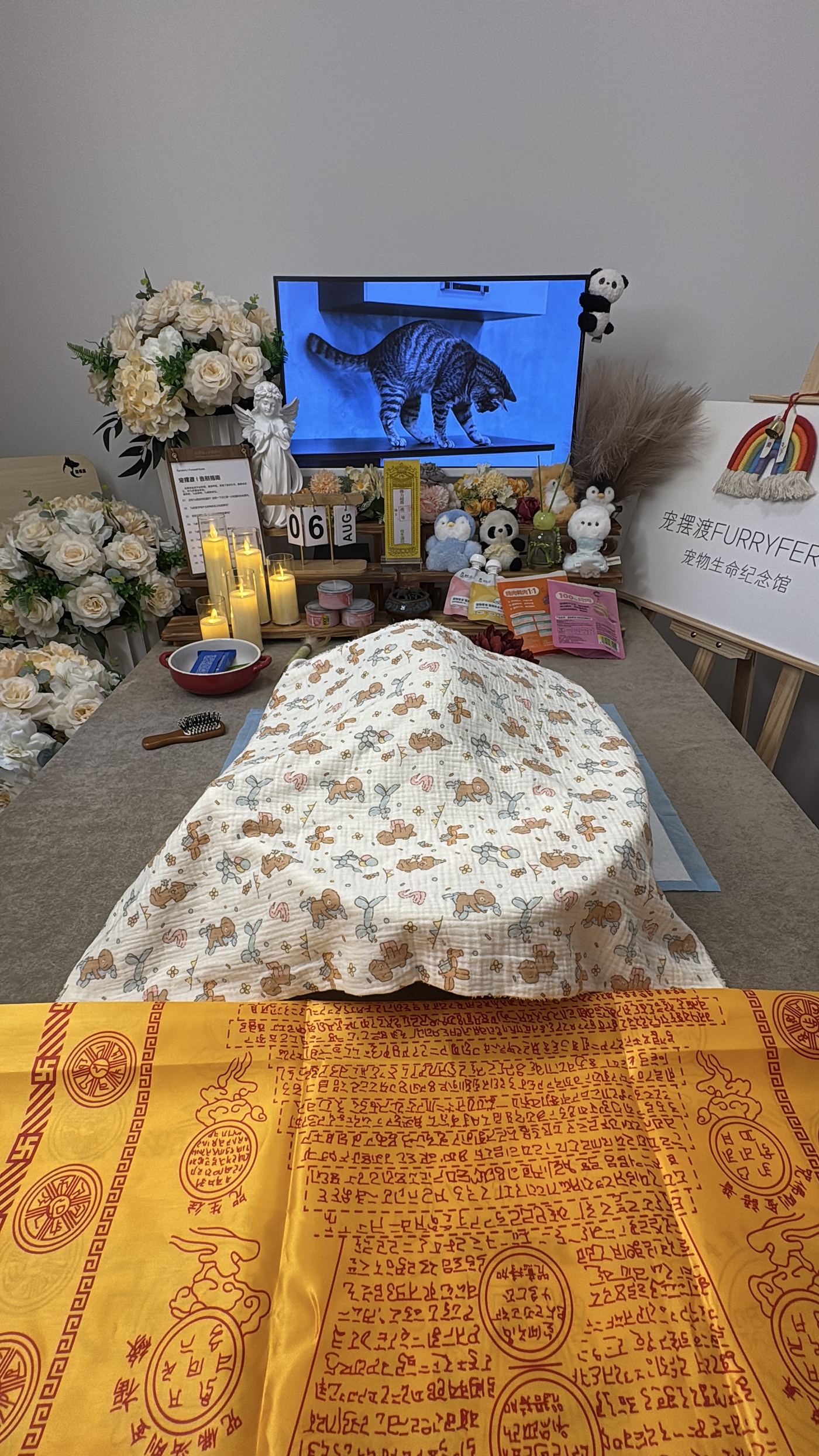 一、办理流程拆解：每一步做什么