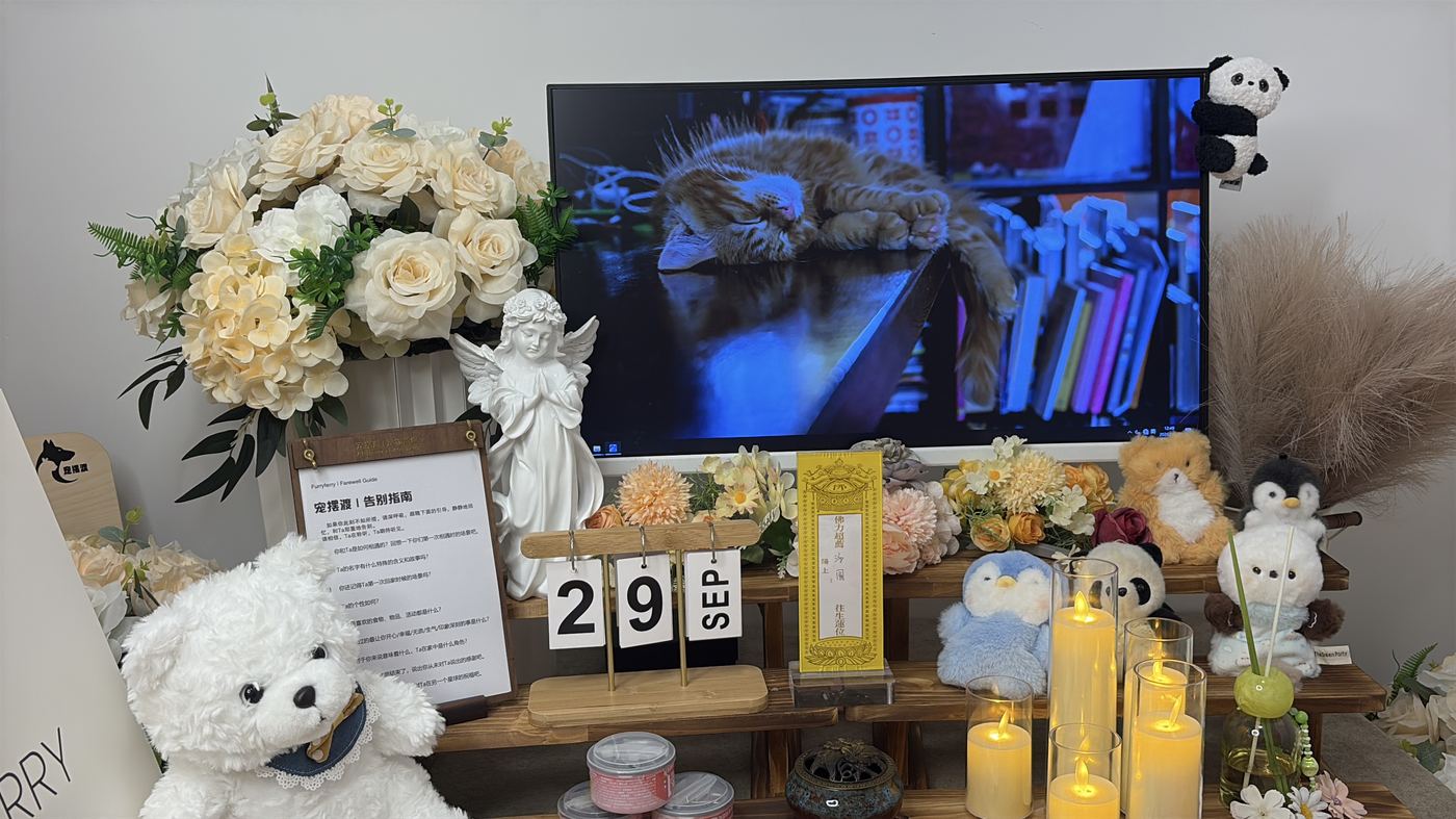 石家庄宠物告别厅布置：如何给石城家属一个体面的告别